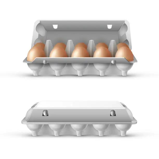 Vector illustration of Egg tray 3d realistic vector template set .  3D illustration.