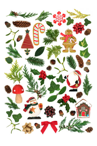 istock Collection of Christmas Decorations and Winter Greenery 1337799923