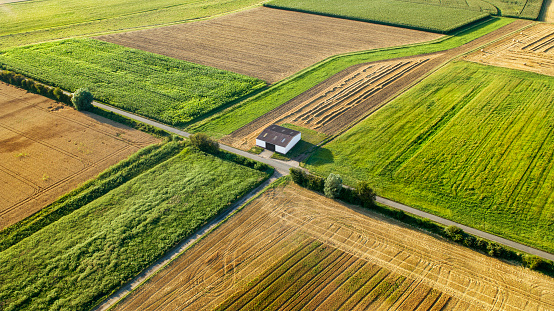 Aerial view of agricultural area - wheat and corn fields