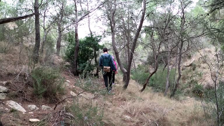 Hikers walking in group at mountain forests and pathways. Group of people hiking in hill landscape. Healthy sportsman exercising trekking