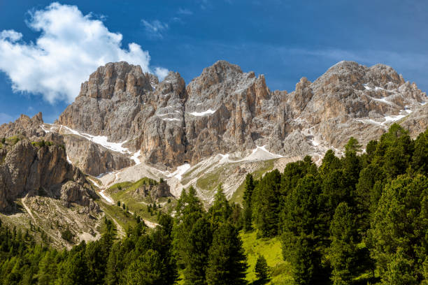 View of the Catinaccio group from Vajolet valley View of the Catinaccio group from Vajolet valley, Trentino, Italy catinaccio stock pictures, royalty-free photos & images