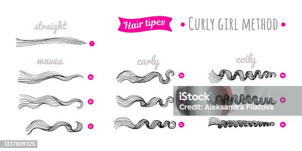 istock Scheme of curly hair of different types. Straight, waves, curly, coily hair. Curly hair type chart. Curly girl method. 1337809325