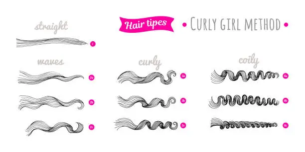 Vector illustration of Scheme of curly hair of different types. Straight, waves, curly, coily hair. Curly hair type chart. Curly girl method.