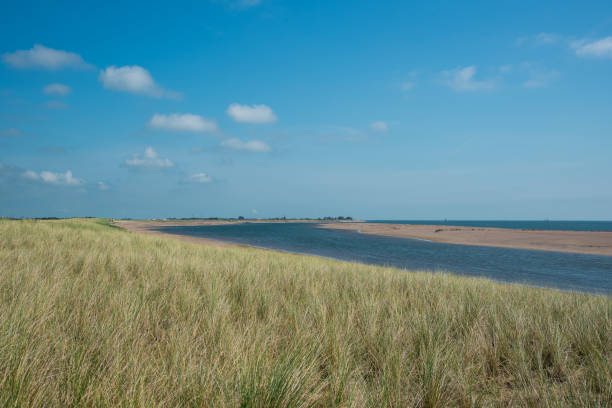 istock Texel, the Netherlands. August 13, 2021. Landschap van Texel met zicht op de Waddenzee. 1337809643