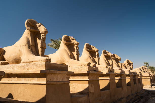 Goats statue in Karnak temple, biggest temple in the world in Luxor city, Upper Egypt Goats statue in Karnak temple, biggest temple in the world in Luxor city, Upper Egypt, north Africa ramses i stock pictures, royalty-free photos & images