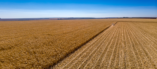 Photo taken with drone of a combine harvester working.