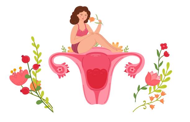 eine frau zu sein. menstruationsperiode, cartoon-frau, die mit blumen auf der gebärmutter sitzt. liebe dich selbst, mädchengesundheit vektor konzept - menstruation stock-grafiken, -clipart, -cartoons und -symbole