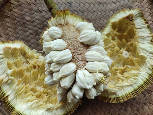 Talap Tarap Stock Photos, Pictures & Royalty-Free Images - iStock