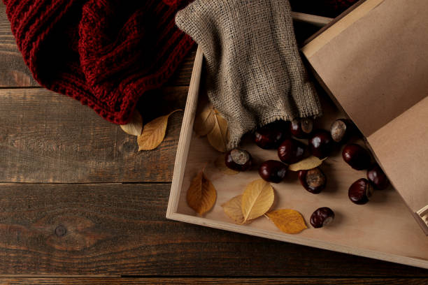 composition d’automne avec une écharpe chaude et un plateau de châtaignes et un livre sur fond de bois brun. vue de dessus - sweet food chestnut yellow brown photos et images de collection