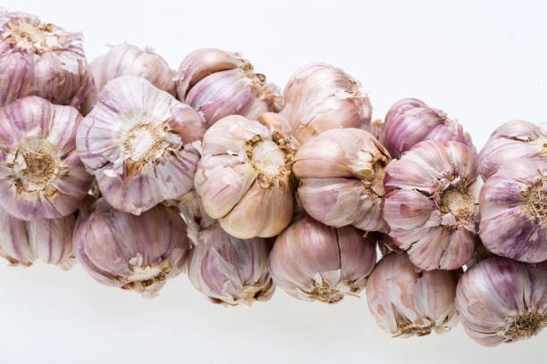 cadeia de alho isolado no fundo branco - garlic hanging string vegetable - fotografias e filmes do acervo