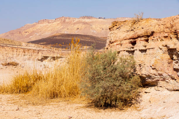 istock Geological formations in Ramon Crater. The Negev Desert. 1337824476