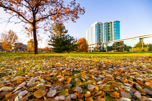 istock Autumn In City Park 1337832700