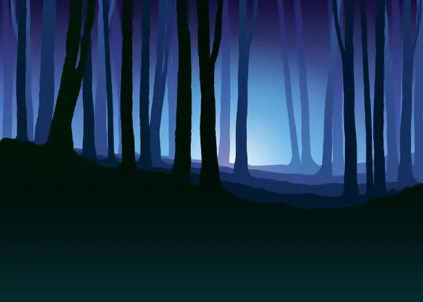 Vector illustration of Foggy forest. Dark tree silhouette. Tree trunks in blue mist. Fog in night forest vector illustration.