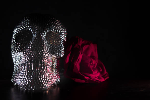 Shiny bright skull candy for Día de Muertos decorated with red rose. Empty space for text on black background.
