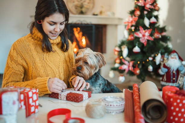 istock Woman wrapping presents with her little dog 1337838836
