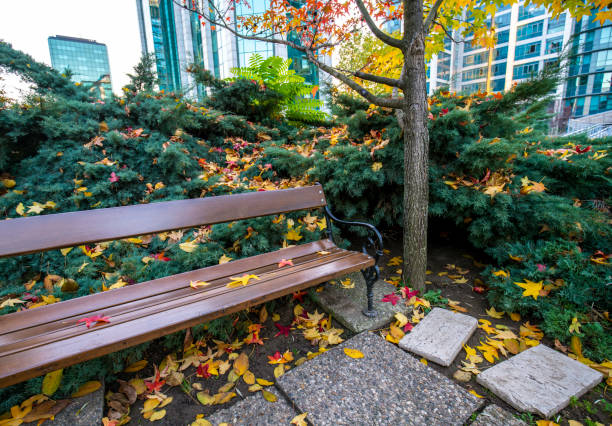 istock Autumn leaves in the city 1337841589