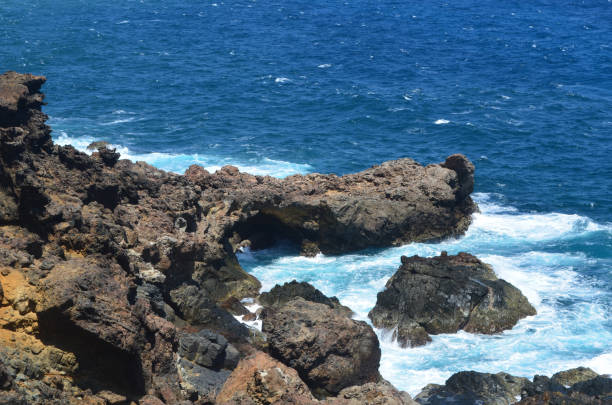istock Wild Waves Crashing on Lava Rocks in Aruba 1337844684