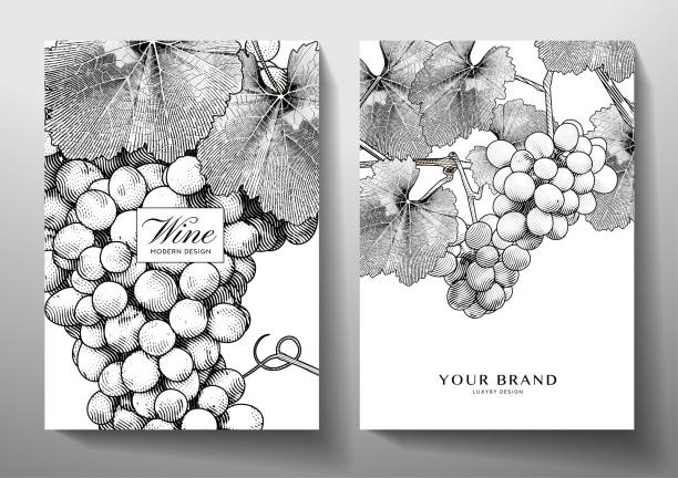 stockillustraties, clipart, cartoons en iconen met wine set (collection). grape bunch (vine) with leaves on background - wijnmakerij