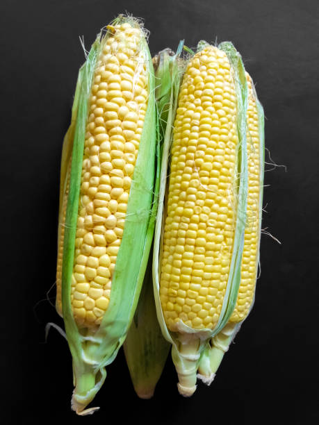 istock Four corns lie on a dark background exactly 1337851123