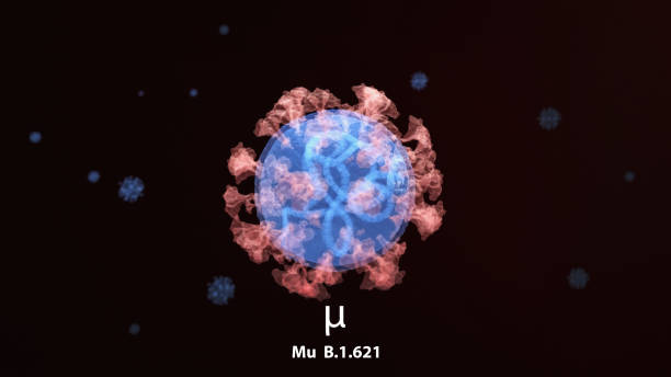 Mu Coronavirus Variant Mu (μ) or B.1.621 the new coronavirus variant. (variant of interest” by WHO). The Mu variant was first identified in Colombia sars cov 2 delta variant stock pictures, royalty-free photos & images