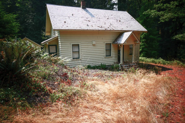 istock Architecture of a national park 1337858438