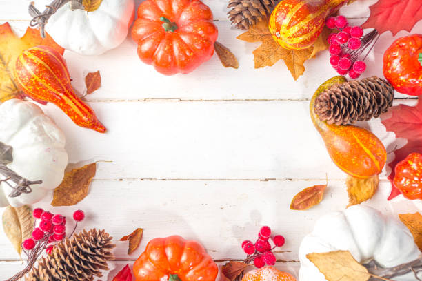 istock Thanksgiving background with pumpkins 1337858566