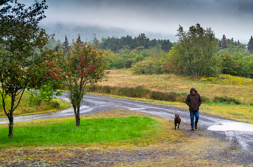 A man walking his Labrador Retriever on a cold rainy day in the countryside