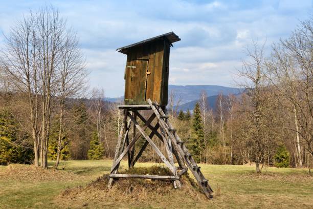 Hunting pulpit structure at a forest glade in Zywiec Beskids (Beskid Zywiecki) mountains in Poland. Silesia region nature.