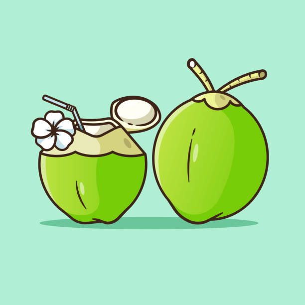Flat And Isolate Coconut Refreshing Summer Drinkgreen Shell Decorated With  White Flowersuitable For Summercan Be Used For Icons Logos And Backgrounds  Stock Illustration - Download Image Now - iStock