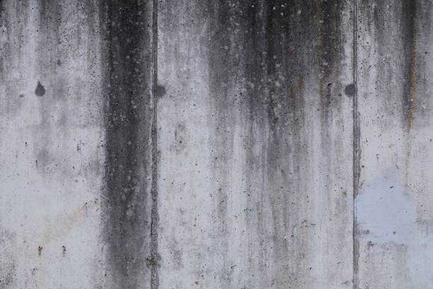 istock Old dirty concrete wall grunge texture 1337864985