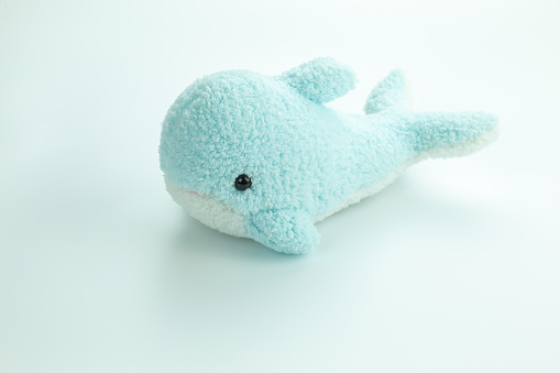 Dolphins plush toy isolated on white background studio short