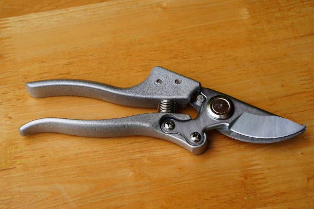 istock Stainless steel Pruning shears 1337871040
