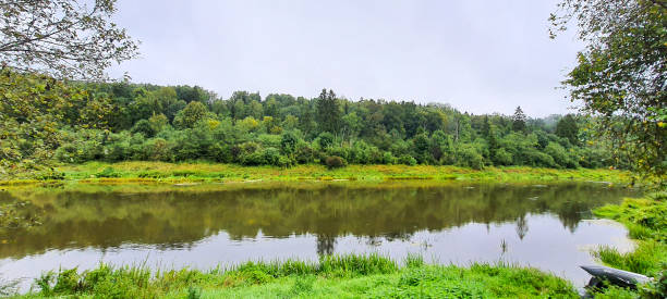 Woods at river in Latvia, Venta river
