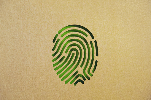 Cut out fingerprint shape made of recycled paper on green background. Horizontal composition with copy space. Sustainability concept.
