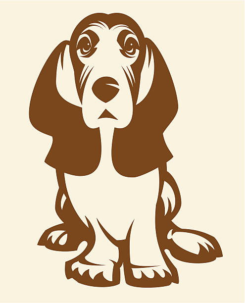 Cachorro Basset - ilustração de arte em vetor