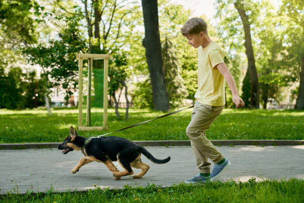 istock Cheerful boy running with puppy at summer park 1337886039