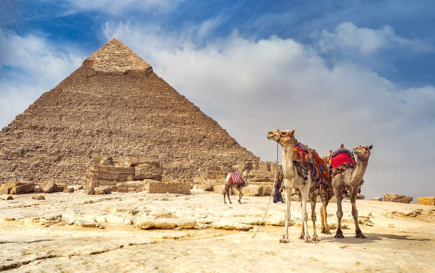 istock Great Egyptian Pyramids with two camels in Giza, Cairo. 1337889096