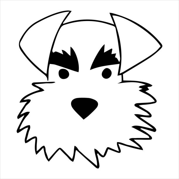 vektorporträt eines mittelschnauzerhundes im doodle-cartoon-stil. haustierillustration im linienkunststil - hund grafiken stock-grafiken, -clipart, -cartoons und -symbole