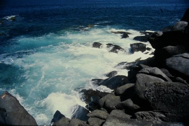 istock Stones in the sea 1337893202
