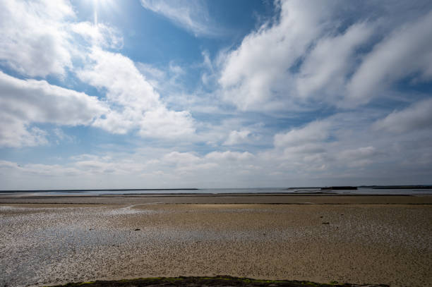 istock Sea bottom at low tide on Grevelingenmeer, Zeeland, Netherlands 1337896033