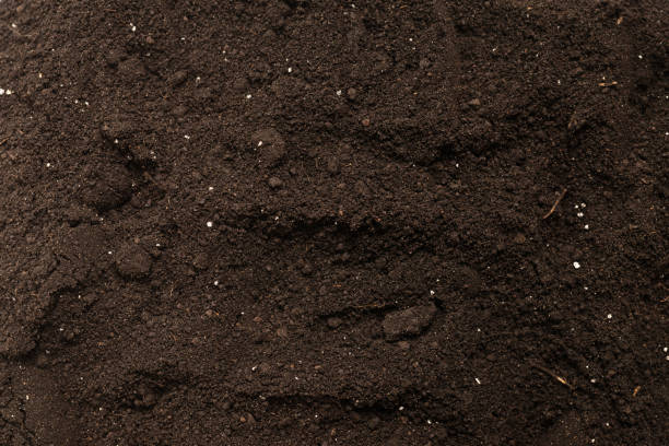 istock Black land for plant background. Top view. 1337899343