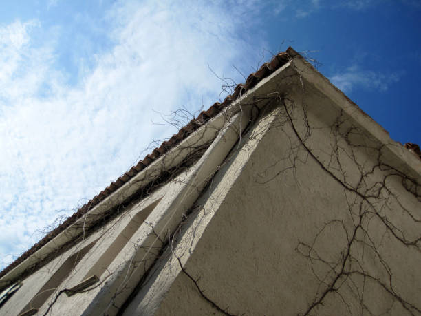 Caserta's Province, Campania, Italy - May 19, 2012: particolar of country house with climbing plants