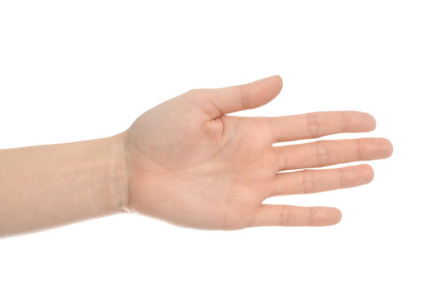 istock Woman against white background, closeup on hand 1337905312