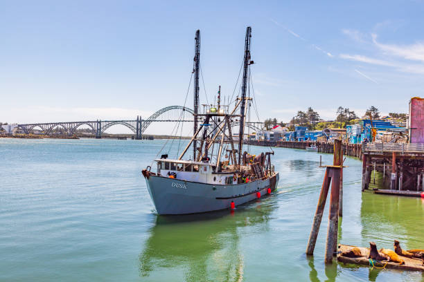 fishing boat in the harbor at newport, oregon. - newport oregon imagens e fotografias de stock