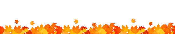 illustrations, cliparts, dessins animés et icônes de superposition d’en-tête d’automne de feuilles orange et rouges tombées - autumn leaf falling panoramic