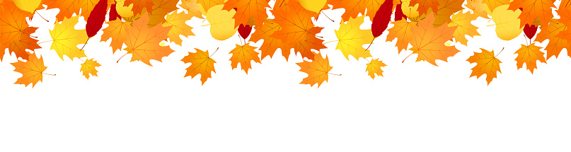 Autumn banner overlay with falling maple leaves.