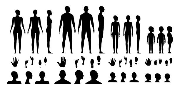 stockillustraties, clipart, cartoons en iconen met male, female, gender neutral and a toddler human body silhouettes. anonymous avatars of an adult's man and a woman, teenager and a kid. open palm hand, barefoot feet and shoes traces.. - woman foot