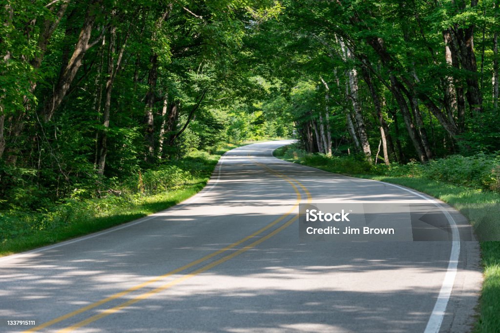 Winding country road through the woods Michigan Stock Photo