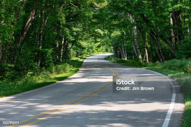 Winding Country Road Through The Woods Stock Photo - Download Image Now - Michigan, Road, Landscape - Scenery