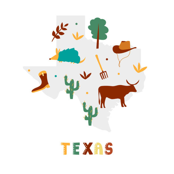 USA map collection. State symbols on gray state silhouette - Texas USA map collection. State symbols and nature on gray state silhouette - Texas. Cartoon simple style for print texas road stock illustrations